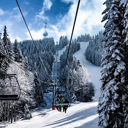 Avelov Studio Pamporovo * Pamporovo