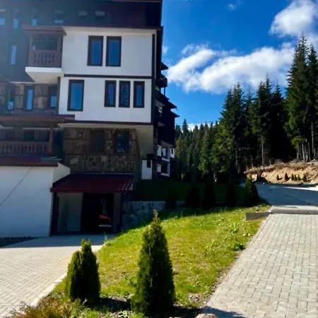 Avelov Studio Pamporovo