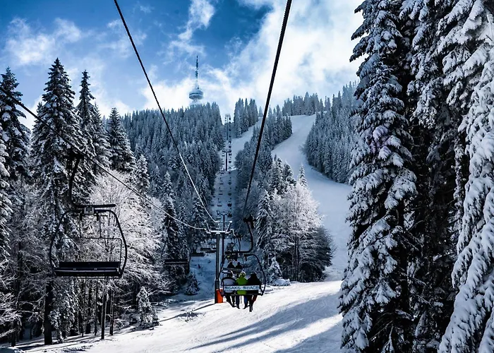 Avelov Art * Pamporowo